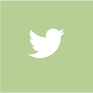 twitter logo