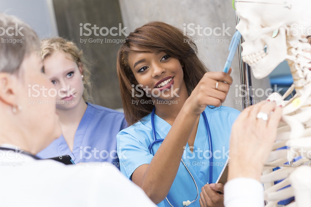 Woman pointing at human skeleton