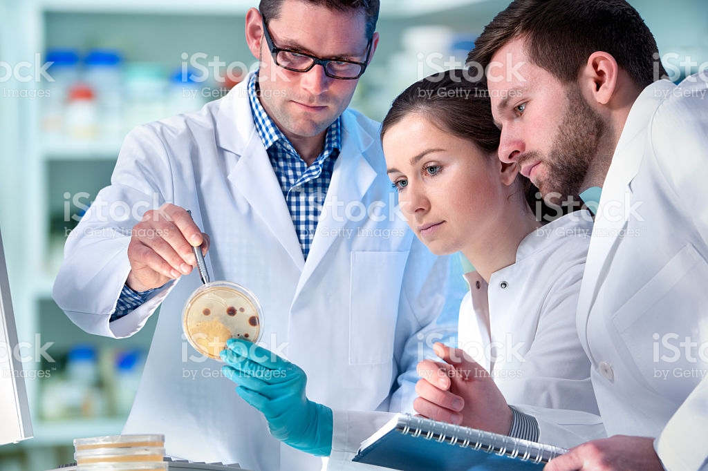 Two men and one woman looking at bacteria