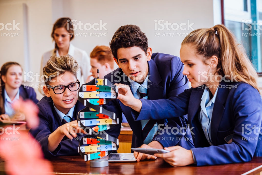 Students doing dna science stuff